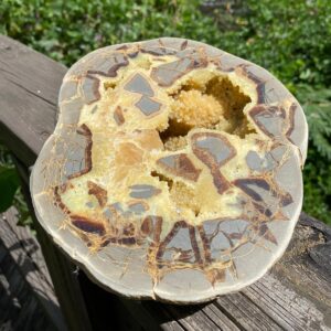 Septarian